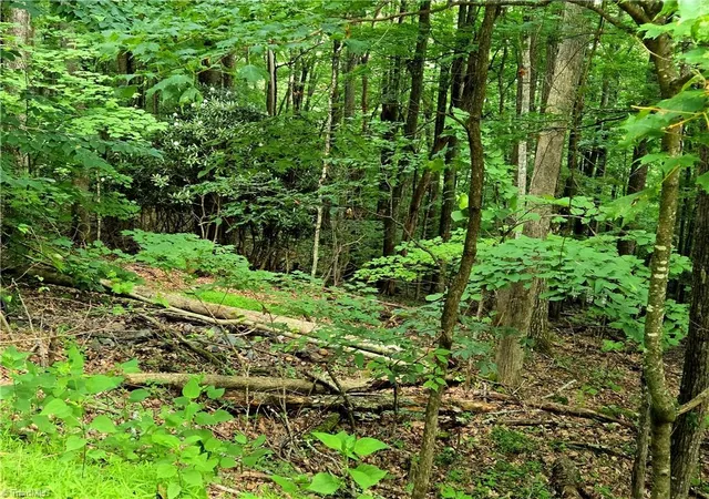 Photo 3 of Land for sale at Tbd Red Fox Trl, Boone, NC 28607 | MLS# 1188065 | Listing updated on 2026-07-01