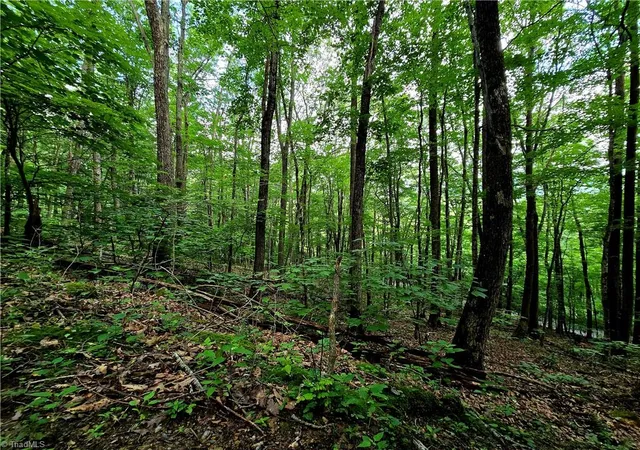 Photo 4 of Land for sale at Tbd Red Fox Trl, Boone, NC 28607 | MLS# 1188065 | Listing updated on 2026-07-01