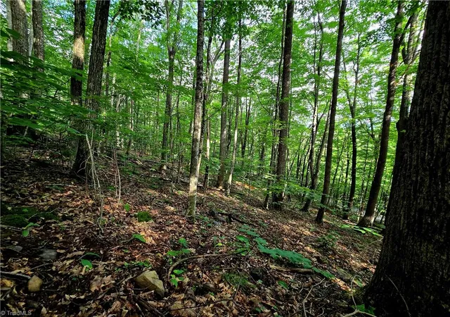 Photo 5 of Land for sale at Tbd Red Fox Trl, Boone, NC 28607 | MLS# 1188065 | Listing updated on 2026-07-01