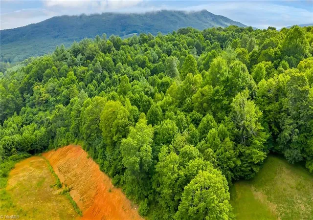 Photo 3 of Land for sale at Tbd US Hwy 221, Jefferson, NC 28640 | MLS# 1215800 | Listing updated on 2026-04-26