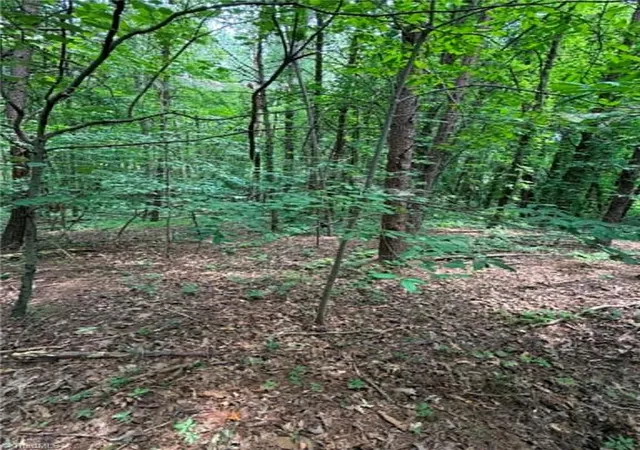 5th image of 0 J P Lynch Rd, Pilot Mountain, NC 27041 | MLS# 1228225