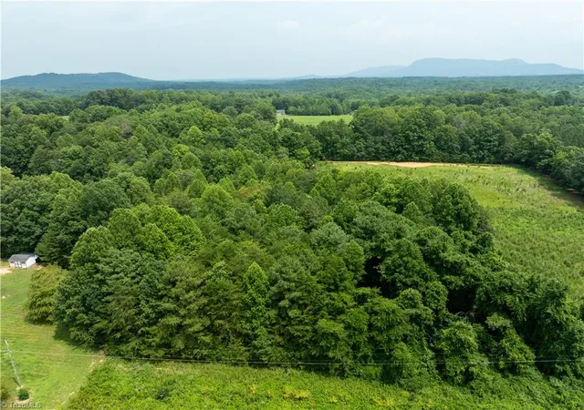 8th image of 0 J P Lynch Rd, Pilot Mountain, NC 27041 | MLS# 1228225