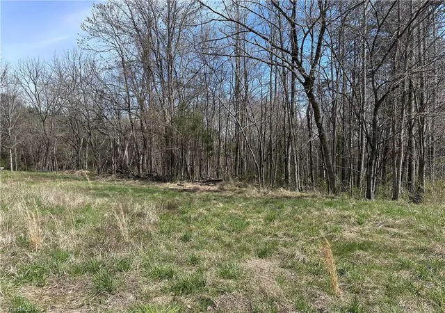 1st image of 0 Bootleg Alley, Mocksville, NC 27028 | MLS# 1213041