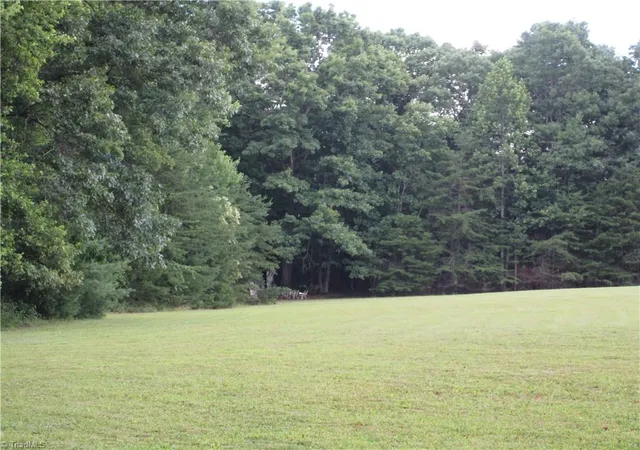 Homes for sale in Thurmond, NC | 1287 Roaring Gap Rd, Thurmond, NC 28683 | MLS# 1227252