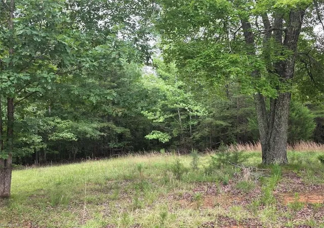 9th image of 391 Oak Hill Farm Rd, Pelham, NC 27311 | MLS# 1229571