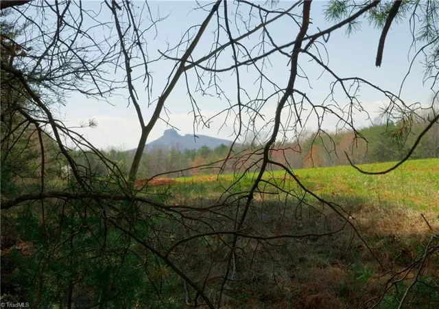 2nd image of 4 Old Mill Rd, Pinnacle, NC 27043 | MLS# 1229787