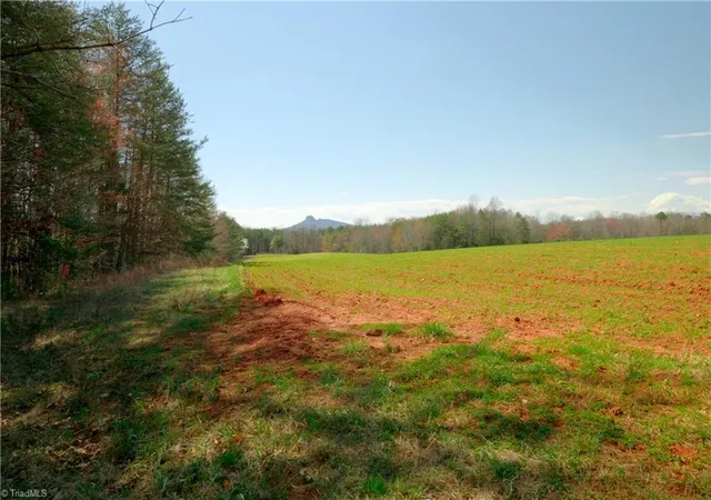 3rd image of 4 Old Mill Rd, Pinnacle, NC 27043 | MLS# 1229787