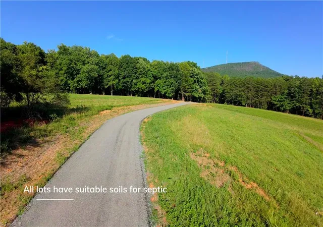 4th image of 4 Old Mill Rd, Pinnacle, NC 27043 | MLS# 1229787