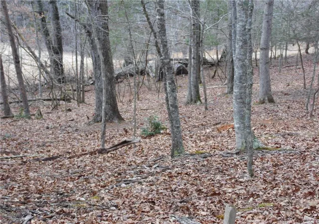 Photo 20 of Land for sale at Tbd Happy Woods Rd, Piney Creek, NC 28631 | MLS# 1229635 | Listing updated on 2026-08-03