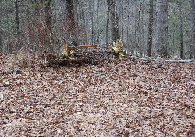 Photo 3 of Land for sale at Tbd Happy Woods Rd, Piney Creek, NC 28631 | MLS# 1229635 | Listing updated on 2026-08-03