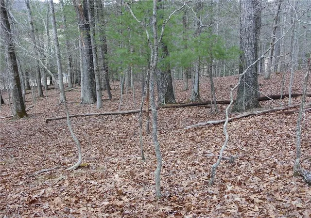 Photo 4 of Land for sale at Tbd Happy Woods Rd, Piney Creek, NC 28631 | MLS# 1229635 | Listing updated on 2026-08-03