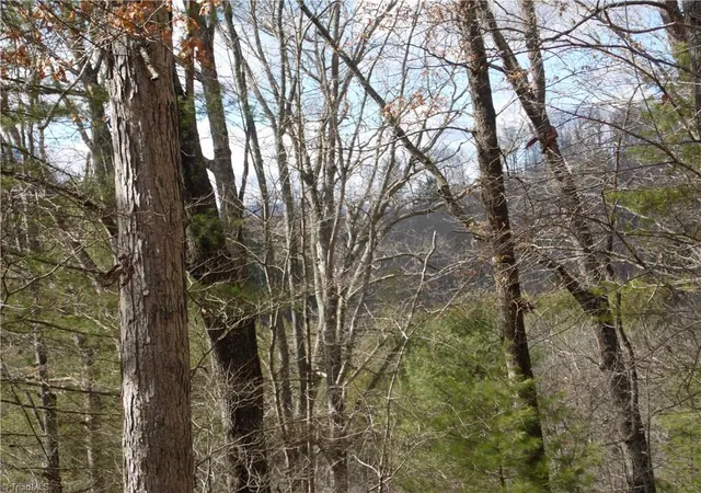 Photo 5 of Land for sale at Tbd Happy Woods Rd, Piney Creek, NC 28631 | MLS# 1229635 | Listing updated on 2026-08-03