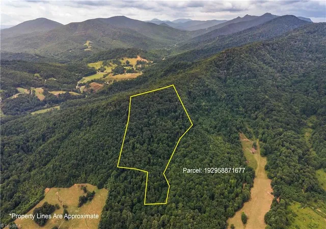 Photo 14 of Land for sale at 0 Tom Pless Rd, Warrensville, NC 28693 | MLS# 1229004 | Listing updated on 2026-09-03