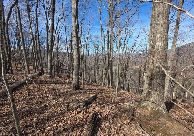 Photo 4 of Land for sale at 0 Tom Pless Rd, Warrensville, NC 28693 | MLS# 1229004 | Listing updated on 2026-09-03