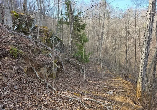 Photo 5 of Land for sale at 0 Tom Pless Rd, Warrensville, NC 28693 | MLS# 1229004 | Listing updated on 2026-09-03