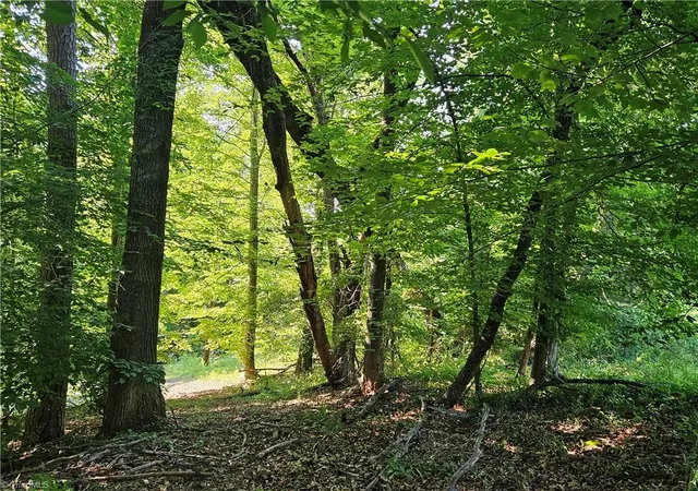 Photo 3 of Land for sale at 0 S Brenhaven Dr, Elkin, NC 28621 | MLS# 1228181 | Listing updated on 2026-07-18