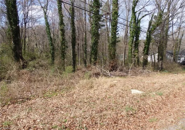 Homes for sale in Asheboro, NC | 0 Chestnut St, Asheboro, NC 27203 | MLS# 1227068