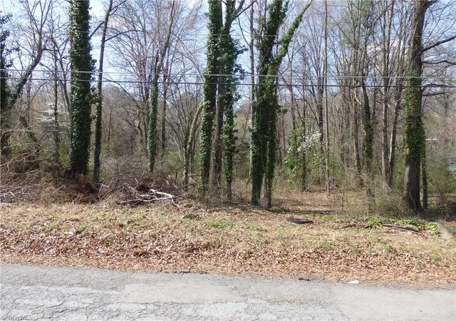 Homes for sale in Asheboro, NC | 0 Chestnut St, Asheboro, NC 27203 | MLS# 1227068