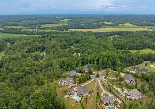 50th image of 908 Limberlost Ln, Lewisville, NC 27023 | MLS# 1216902