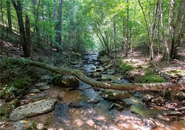 Photo 5 of Land for sale at 12604 Nc Hwy 268, Elkin, NC 28621 | MLS# 1186002 | Listing updated on 2026-07-16