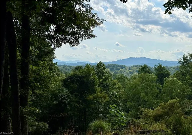 Photo 3 of Single family home for sale at 61 Lucky Hl Rd, Grassy Creek, NC 28631 | MLS# 1231611 | Listing updated on 2026-08-18