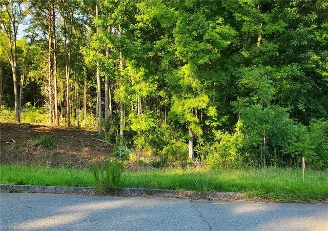 4th image of 0 Wilson St, Lexington, NC 27292 | MLS# 1231664