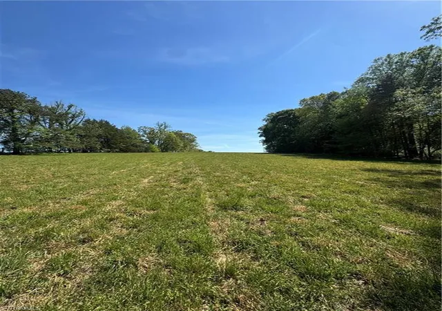 4th image of 1011 Hauser Rd, Lewisville, NC 27023 | MLS# 1217463