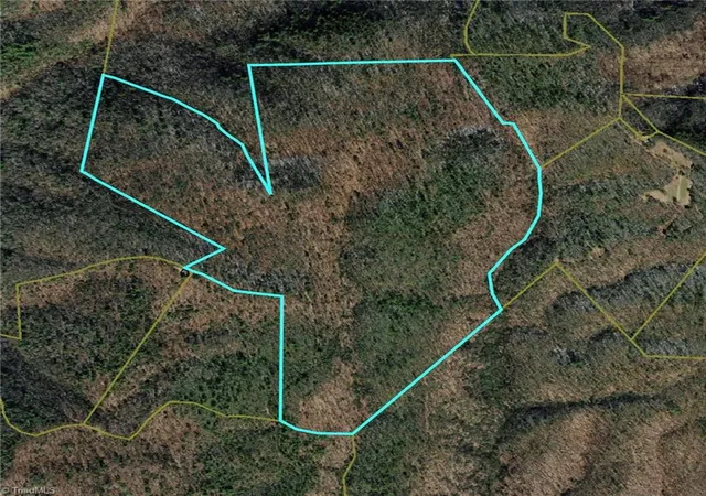 Photo 1 of Land for sale at Tbd Vannoy Rd, Mc Grady, NC 28649 | MLS# 1230452 | Listing updated on 2026-08-07