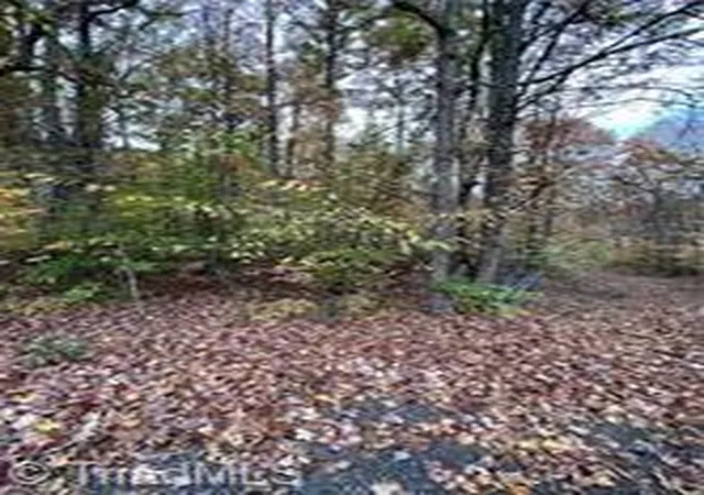 18th image of 0 Aladdin Rd, Pfafftown, NC 27040 | MLS# 1223352