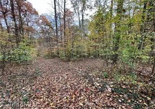 2nd image of 0 Aladdin Rd, Pfafftown, NC 27040 | MLS# 1223352
