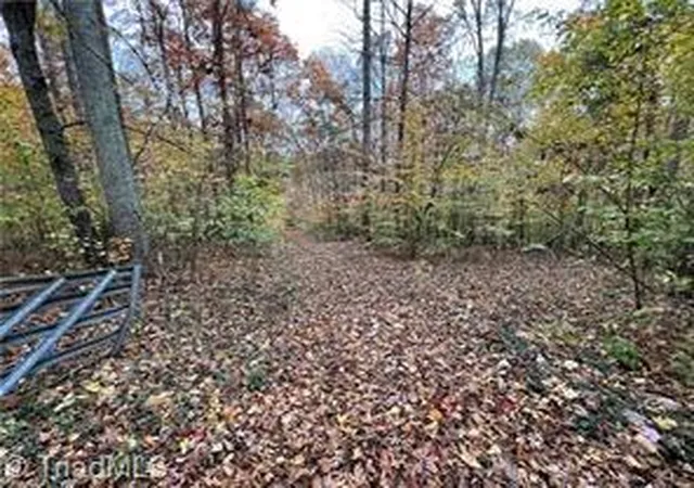 3rd image of 0 Aladdin Rd, Pfafftown, NC 27040 | MLS# 1223352