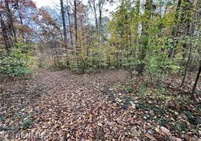 4th image of 0 Aladdin Rd, Pfafftown, NC 27040 | MLS# 1223352
