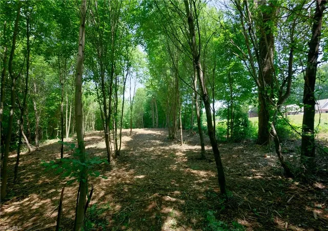 Photo 3 of Land for sale at 0 US Hwy 601, Yadkinville, NC 27055 | MLS# 1228634 | Listing updated on 2026-09-01
