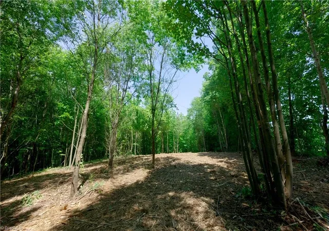 Photo 4 of Land for sale at 0 US Hwy 601, Yadkinville, NC 27055 | MLS# 1228634 | Listing updated on 2026-09-01