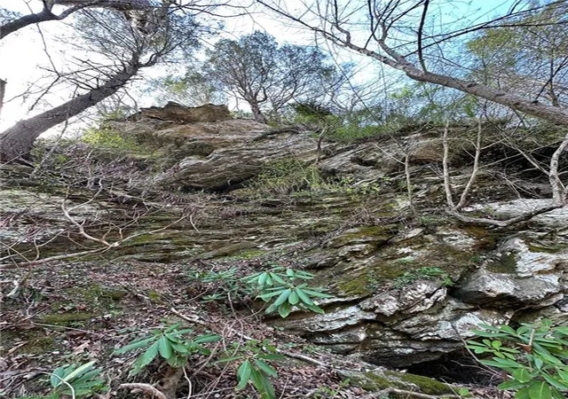 Photo 2 of Land for sale at 00 Seven Is Rd, Danbury, NC 27016 | MLS# 1215427 | Listing updated on 2026-09-09