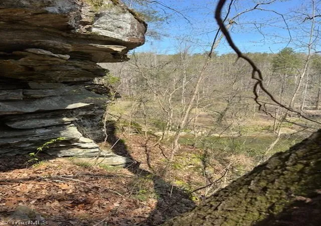Photo 3 of Land for sale at 00 Seven Is Rd, Danbury, NC 27016 | MLS# 1215427 | Listing updated on 2026-09-09