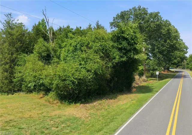 Homes for sale in Mebane, NC | 0 White Level Rd, Mebane, NC 27302 | MLS# 1225771