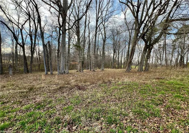 5th image of 0 Old Greensboro Rd, Thomasville, NC 27360 | MLS# 1211367