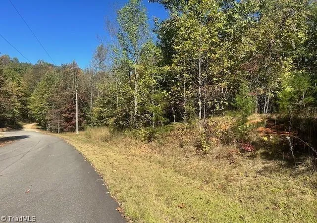 Homes for sale in Boomer, NC | Lot 19 Longview Bluffs, Boomer, NC 28606 | MLS# 1217517