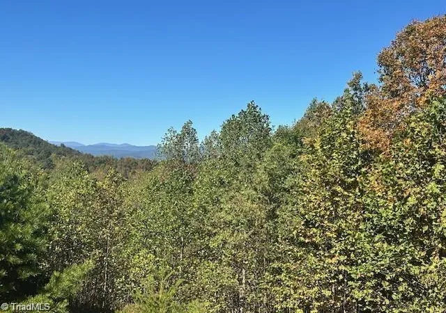 Homes for sale in Boomer, NC | Lot 19 Longview Bluffs, Boomer, NC 28606 | MLS# 1217517