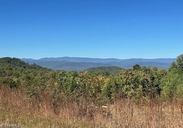 Homes for sale in Boomer, NC | Lot 19 Longview Bluffs, Boomer, NC 28606 | MLS# 1217517
