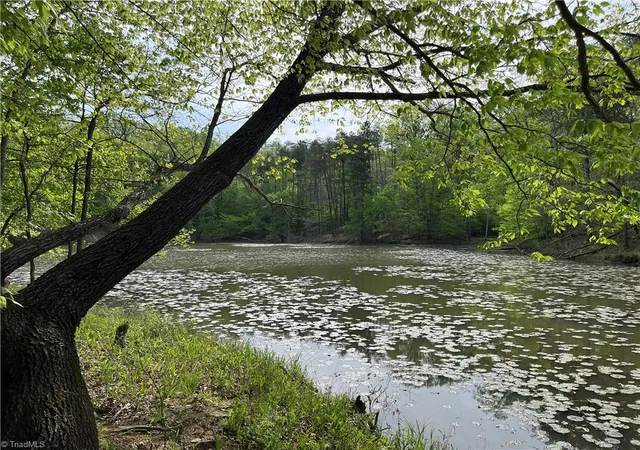 Photo 1 of Land for sale at 0 Sheets Trl, Germanton, NC 27019 | MLS# 1227516 | Listing updated on 2026-08-15