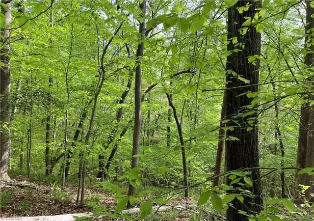 Photo 3 of Land for sale at 0 Sheets Trl, Germanton, NC 27019 | MLS# 1227516 | Listing updated on 2026-08-15