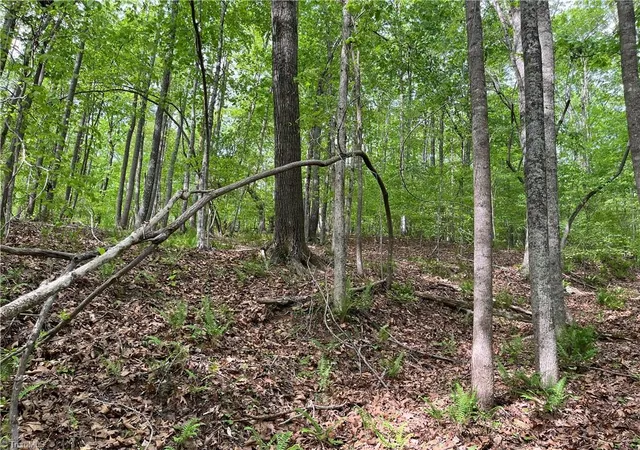Photo 3 of Land for sale at 0 Sheets Trl, Germanton, NC 27019 | MLS# 1227516 | Listing updated on 2026-08-15
