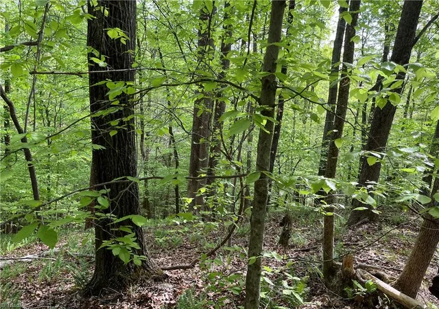 Photo 4 of Land for sale at 0 Sheets Trl, Germanton, NC 27019 | MLS# 1227516 | Listing updated on 2026-08-15