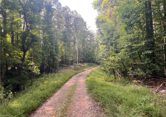 Photo 1 of Land for sale at 1170 Timber Ridge Rd, Westfield, NC 27053 | MLS# 1233668 | Listing updated on 2026-09-01