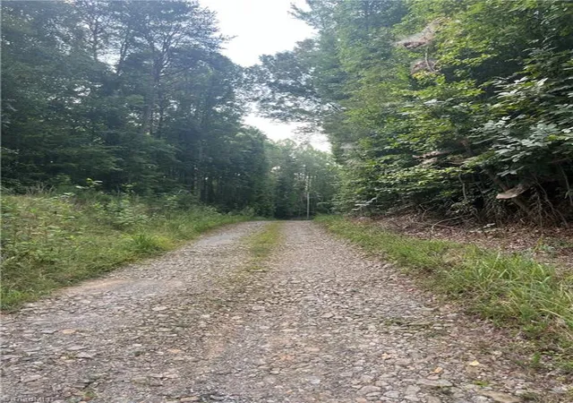 Photo 2 of Land for sale at 1170 Timber Ridge Rd, Westfield, NC 27053 | MLS# 1233668 | Listing updated on 2026-09-01