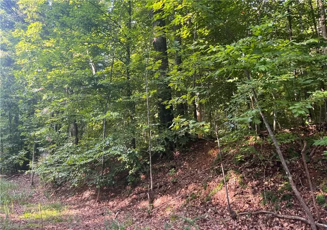 Photo 3 of Land for sale at 1170 Timber Ridge Rd, Westfield, NC 27053 | MLS# 1233668 | Listing updated on 2026-09-01