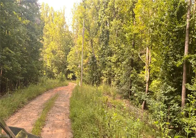 Photo 3 of House for sale at 1170 Timber Ridge Rd, Westfield, NC 27053 | MLS# 1233668 | Listing updated on 2026-09-01
