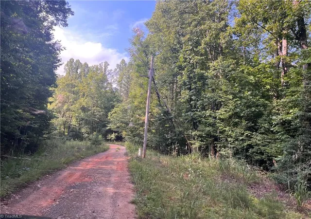 Photo 4 of House for sale at 1170 Timber Ridge Rd, Westfield, NC 27053 | MLS# 1233668 | Listing updated on 2026-09-01